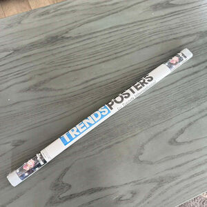 Trends International Bee and PuppyCat Space Flowers Key Art Poster One Size